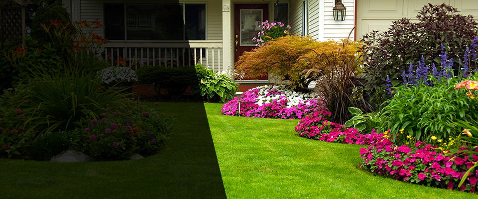 Norfolk Landscapers