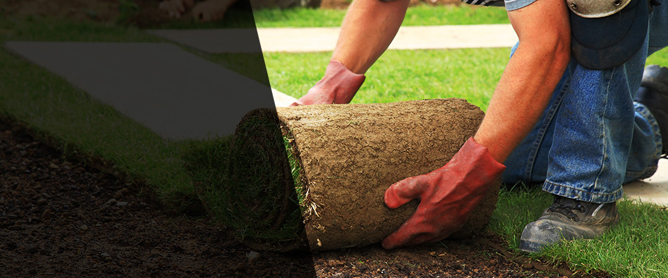 Norfolk Landscapers